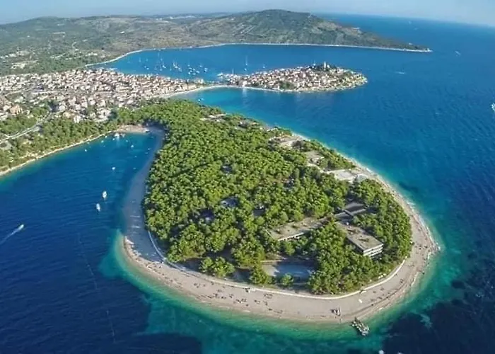 House Gruja With Pool 別荘 *